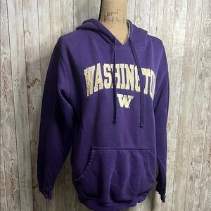 Champion Elite Purple Washington Huskies Hoodie